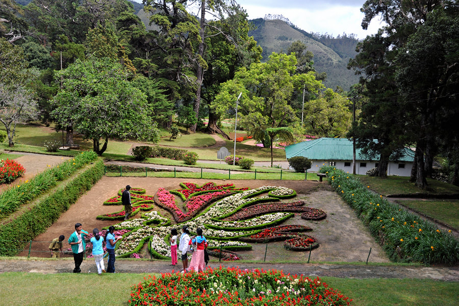 Nuwara Eliya